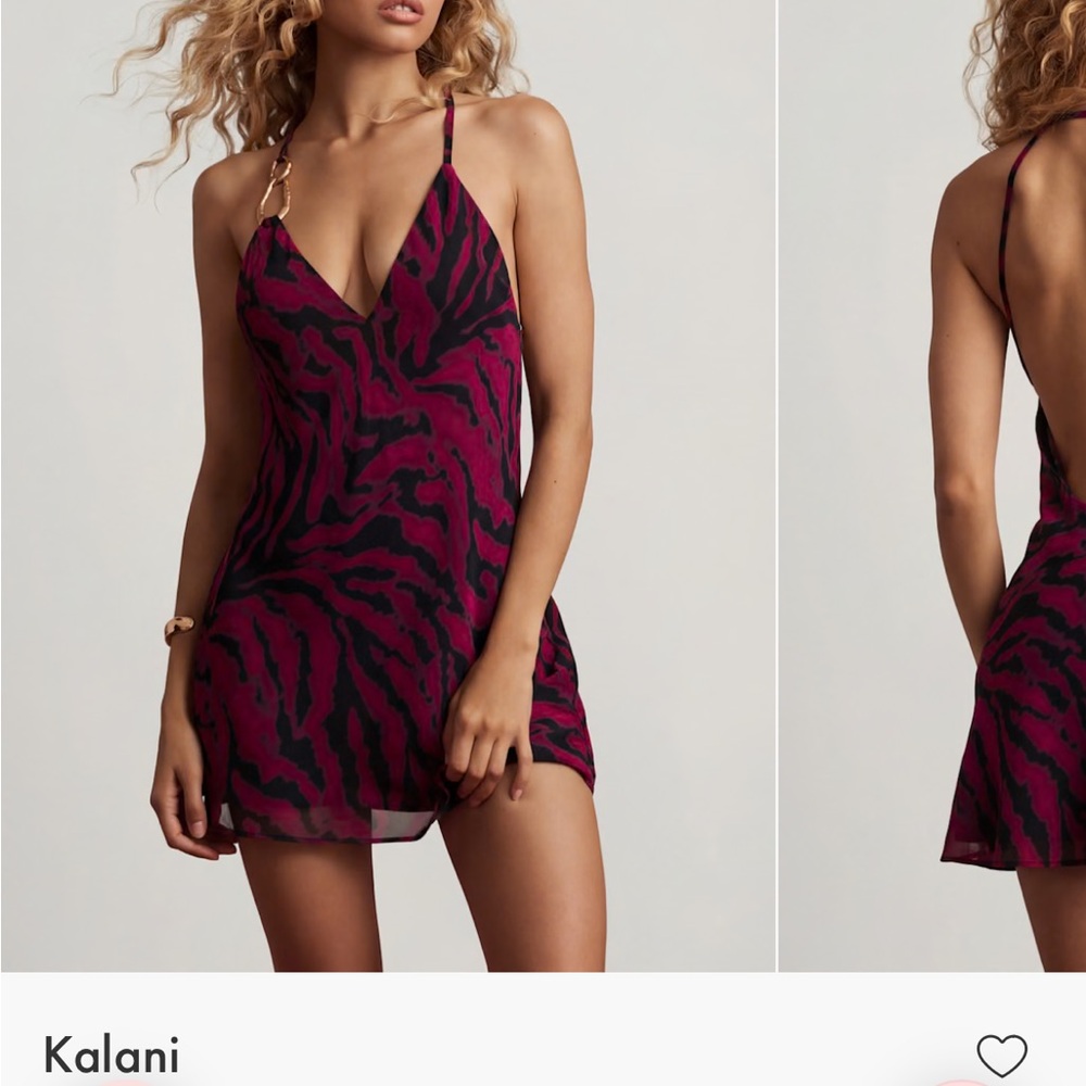Kalani Burgundy Zebra-Print Mini Slip Dress